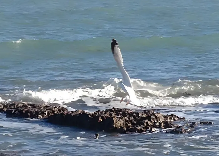 Frühstückspension Clos Des Hogues - D'hotes 3*