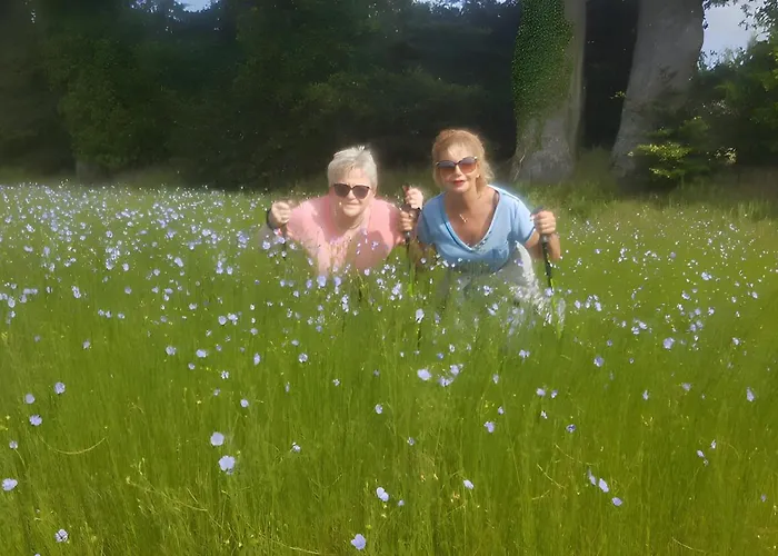 Frühstückspension Clos Des Hogues - D'hotes